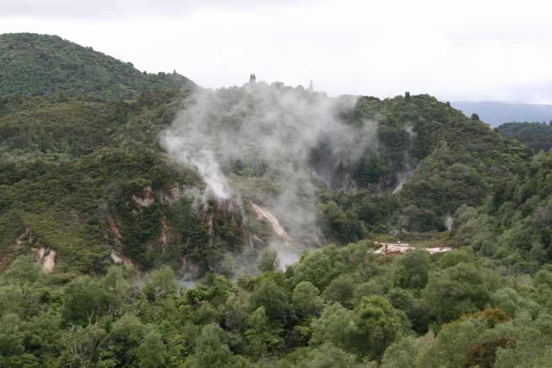 Nieuw-Zeeland 2011 - 0685